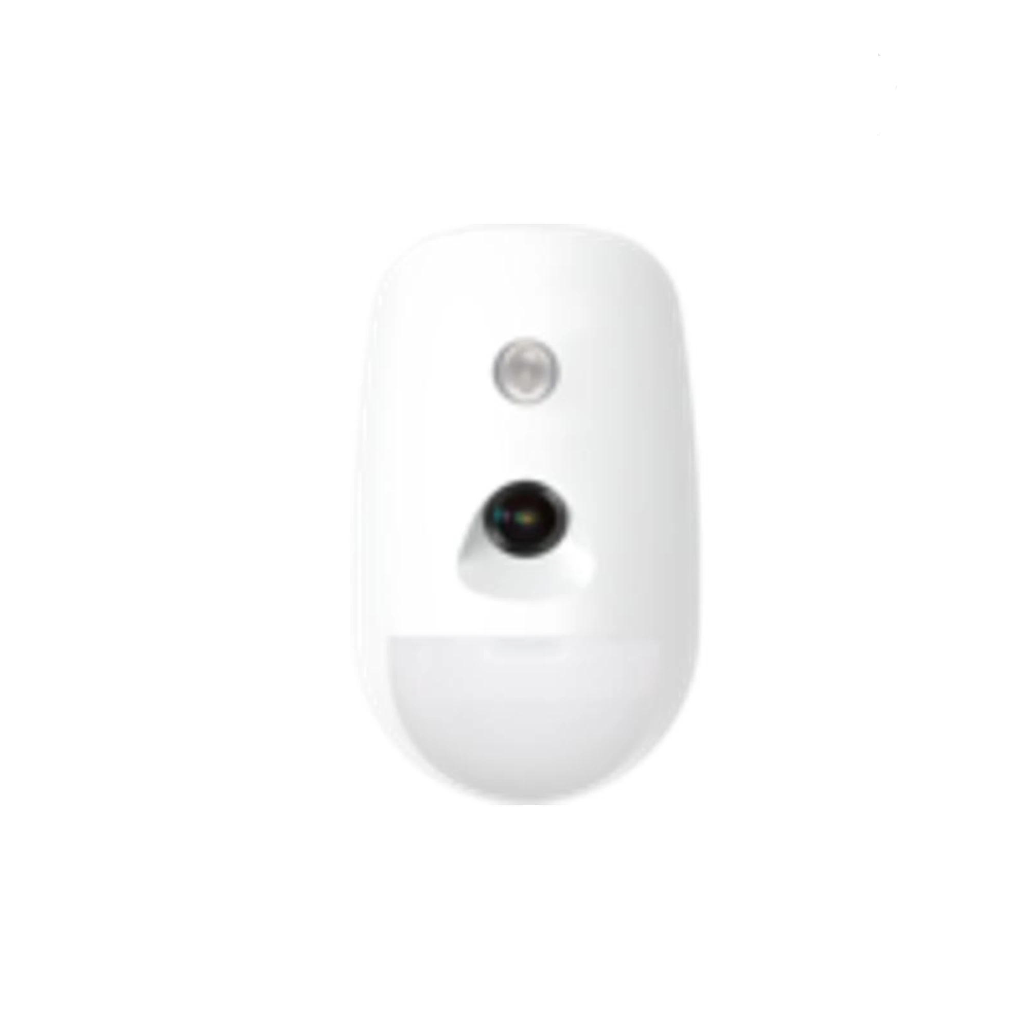 Wireless Indoor PIR-Camera Detector
